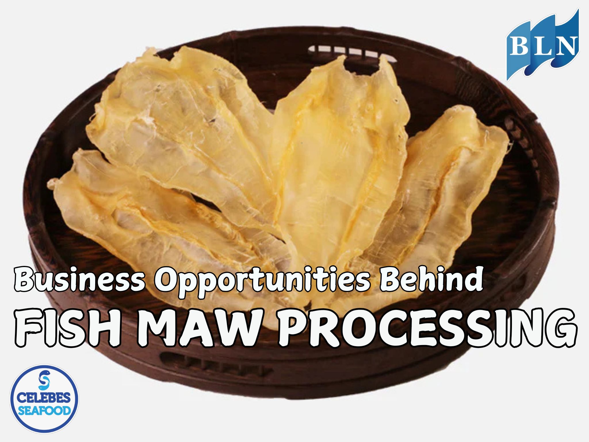 Business Opportunities Behind Fish Maw Processing